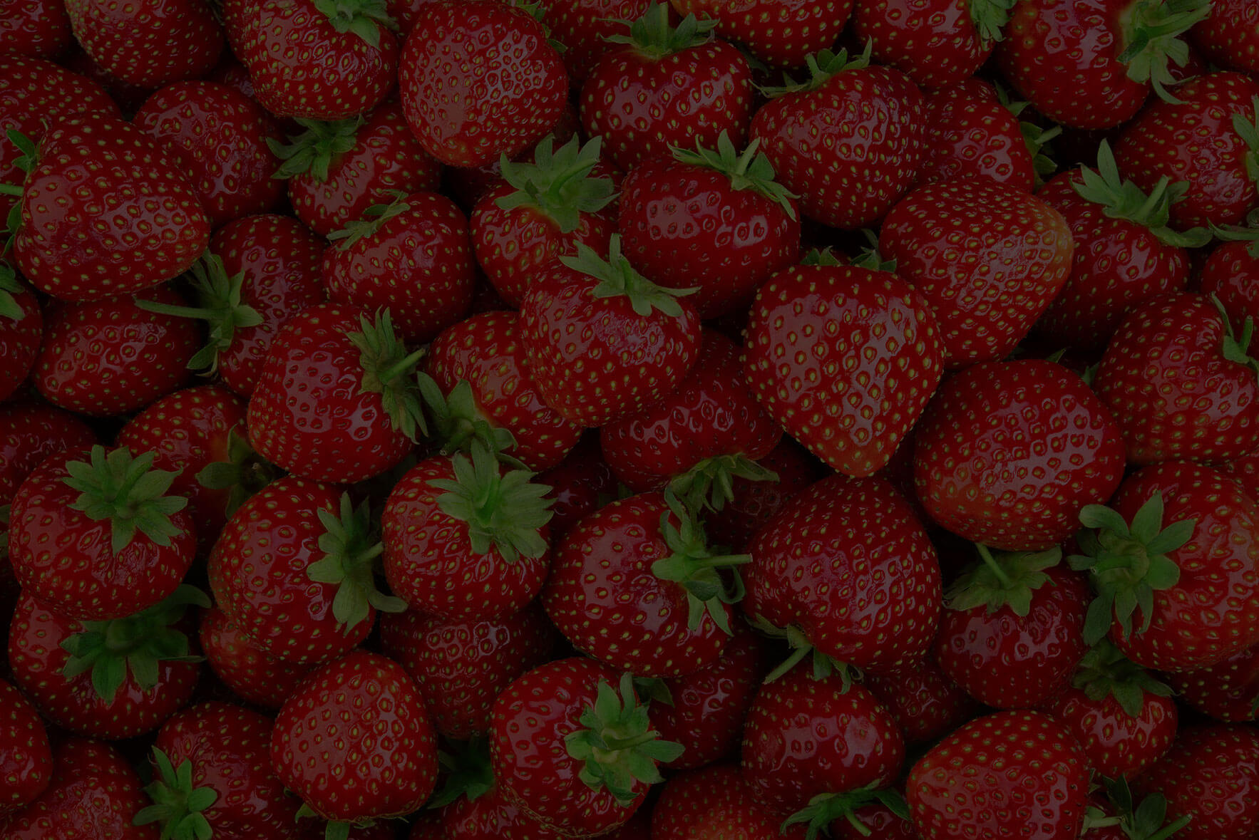 strawberriesbg California Strawberry Commission