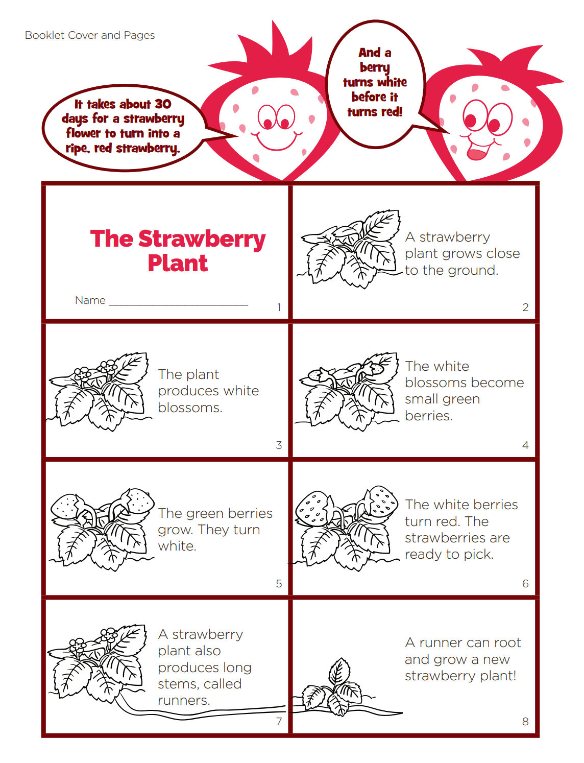Worksheet2 California Strawberry Commission