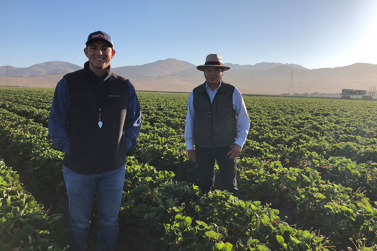 Salinas Farmer and Son