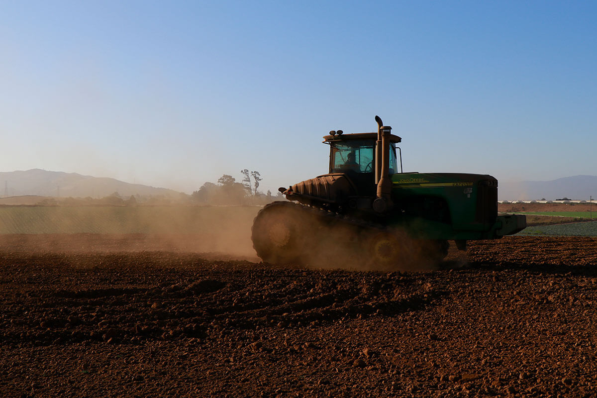 Tractor in California Strawberry Field