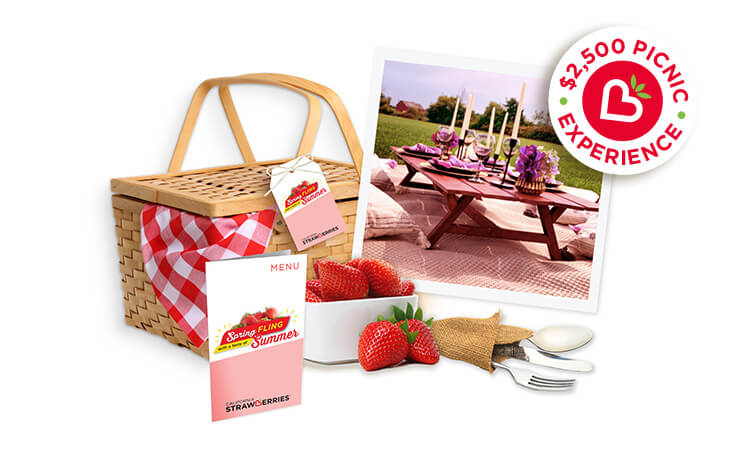 Picnic basket, polaroid of picnic, strawberries, utensils, menu