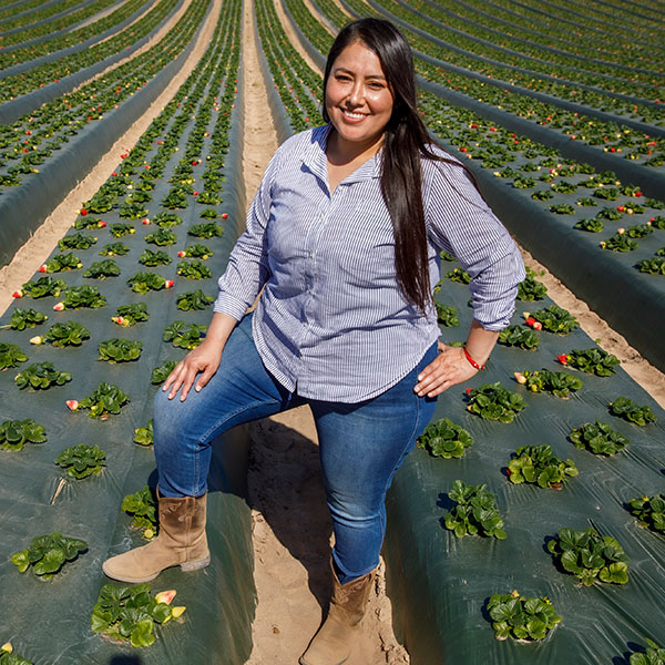 Woman standing in strawberry field