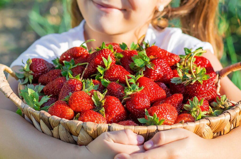 A child with strawberries