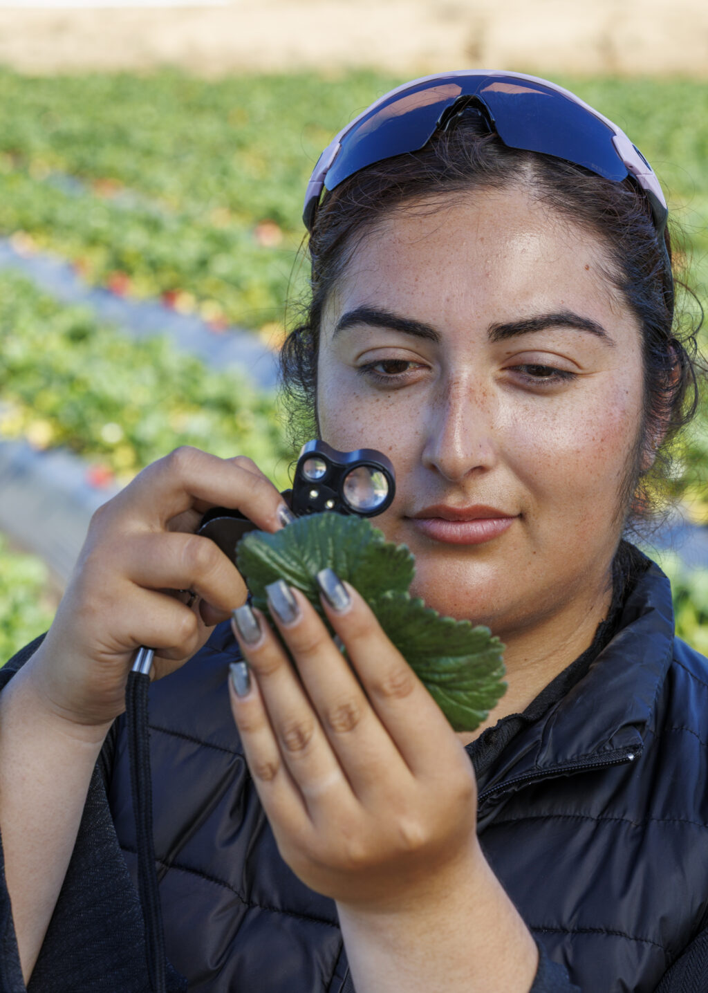 Plant Examination
