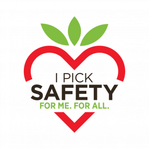 I-Pick-Safety_logo-English-1024x1024